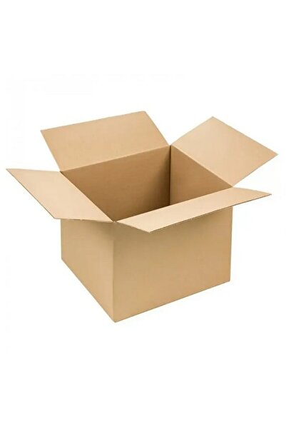 INATECH Set 10 Cutii Carton Ondulat CO3, 300 x 250 x 300 mm, Carton Microondu...