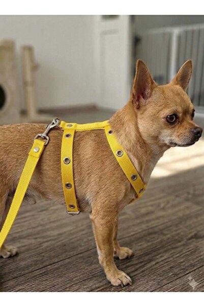 hebmeyy Küçük ve Orta Irk Kedi Köpek Göğüs Tasması Yumuşak, Nefes Alabilir, U...