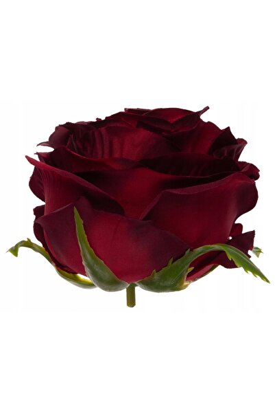 NO BRAND TRANDAFIR INDUSTRIAL BURGUNDY 12 BUC. CAPETE DE FLORI PREMIUM
