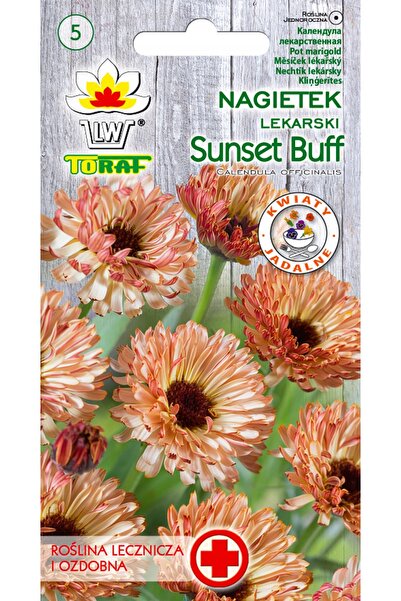 NO BRAND 1000 semințe medicinale NAGIETEK, semințe de flori de gălbenele Suns...
