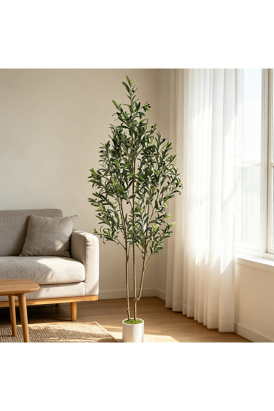SCHENKERO Artificial Olive Tree 182cm Double Trunk Potted, Realistic Faux Oli...