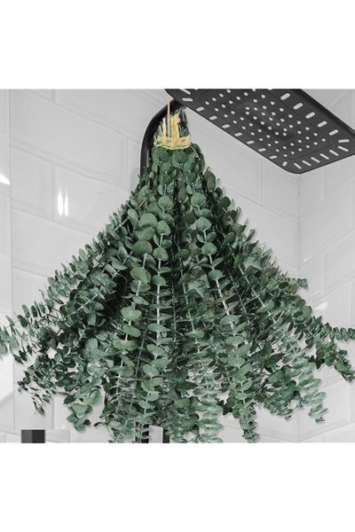 Generic Oning 31 PCS Dried Preserved Eucalyptus Bundle for Shower-17'' Real L...