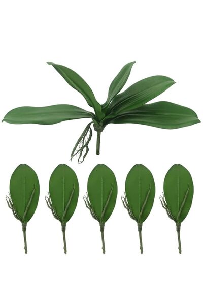 Generic Tinsow Artificial Green Phalaenopsis Simulation Moth Orchid Leaf Real...