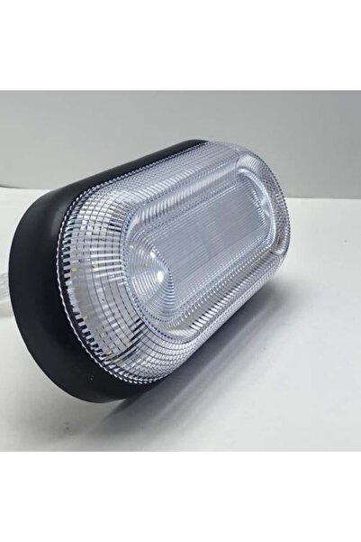GENERAL'S Carton of 20 Transparent Black Body 30W Wall Lights