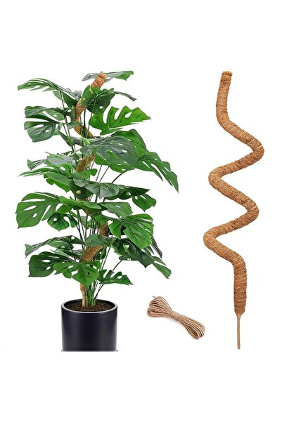Generic Moss Pole for Climbing Plants, 63 Inch Plant Support Stake, Bendable ...