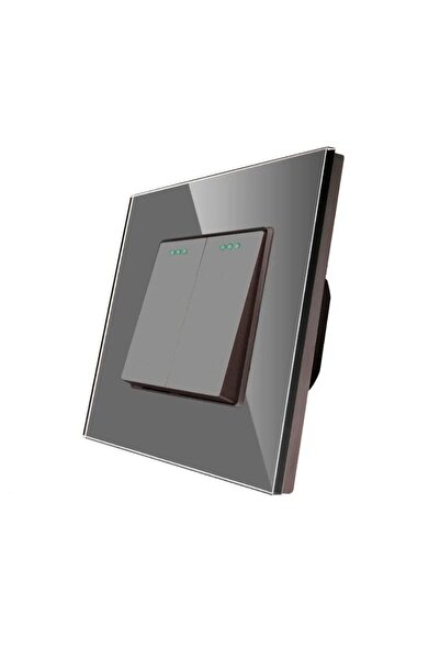 OEM Luxion LXD-MP004GF-GY Double switch, recessed, glass frame included, gray