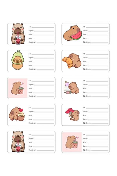 Rudomi Capybara Okul Sticker -10 Adet - Kişileştirilebilir