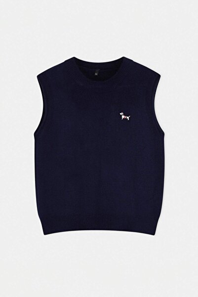 Trendyol Collection Navy Blue Dog Embroidery Detailed Soft Textured Knit Swea...