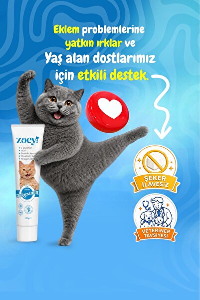 ZOEY PET PRODUCTS GLUKOZAMİN MALT PASTE KEDİLER İÇİN EKLEM SAĞLIĞINI DESTEKLE...