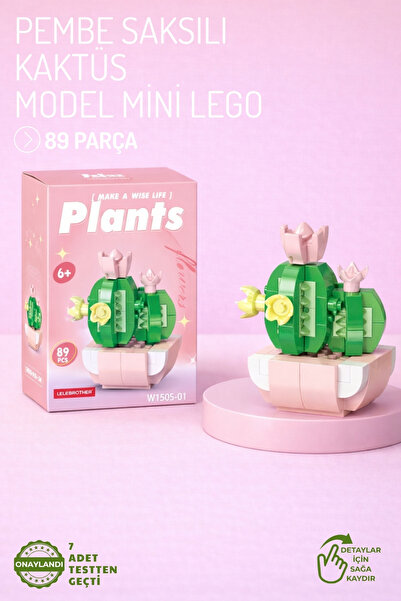 Nandy Home Pink Cobalt Ilı Cactus Model Character Figure 3D Building Toys
