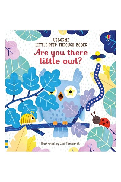 Usborne Children's book - Are you there little Owl?