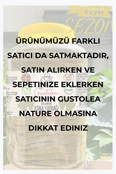 GN Gustolea Nature Manisa Sultaniye Ilk Hasat Ince Damarsız Salamura Uç Asma ...