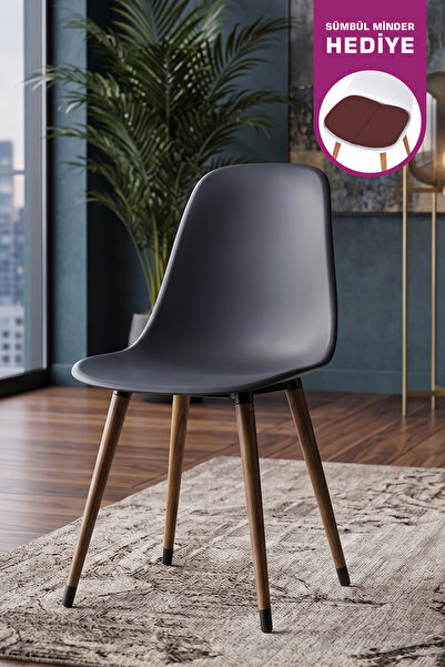 VİLİNZE Eames Kestane Ahşap Ayak Plastik Füme Sandalye