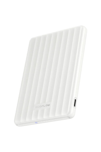 EcoFlow EF-RAPIDQI1-5K-W-EU 5000mAh 20W Alb