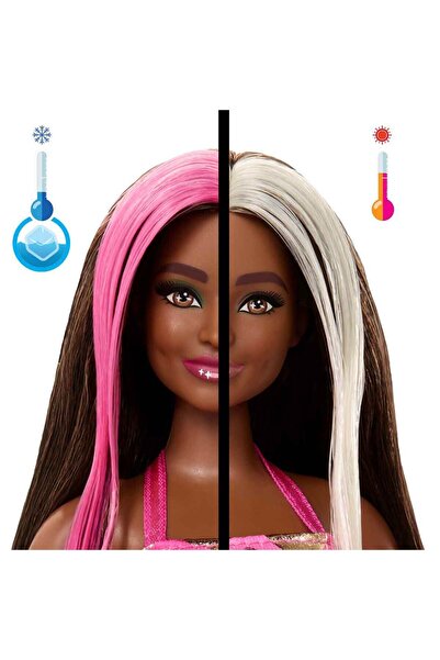 Barbie Parti Paketi Minik Dostumun Doğum Günü Serisi JFG68 - Mavi Kutu Jfg71