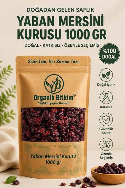 OB Organik Bitkim Blueberry Dried 1000 gr