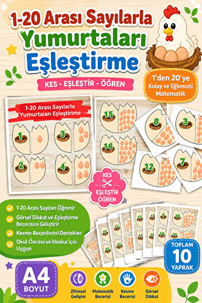 Organik Yolda تطابق البيضات بالأرقام من 1 إلى 20 (10 صفحات بحجم A4)