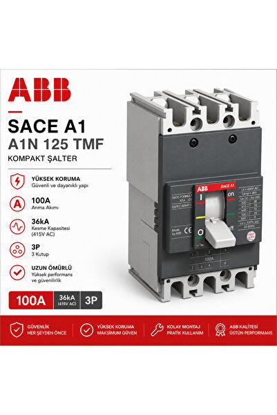 1Sda066731R1 Formula Kompakt Şalter A1N 100A 36Ka