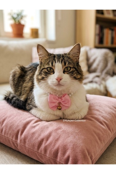 Jivva's Collection Adjustable Cat Bell Collar, Tag, Pendant, Cat Pearl Neckla...
