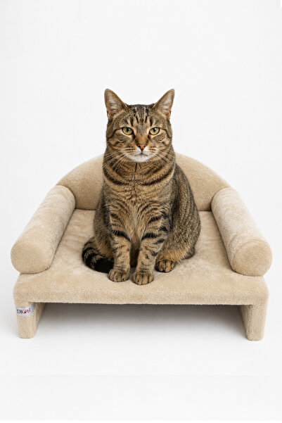 Reyo Pet Peluş Kedi Koltuğu, Kedi Kanepesi, Kedi Yatağı, Evcil Hayvan Dinlenm...