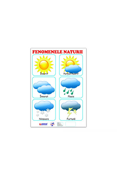 Arhi Design Carton A4 Phenomena