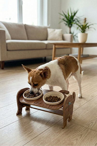 GOBYPET Ahşap Özel Isim Baskılı, Köpek Seramik Mama Su Kabı Standı