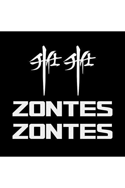 Choice4 Silver Set (2 Pairs) For ZONTES 368G 703F 350E 703 RR 703RR Reflectiv...