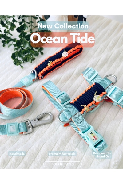 Toffie Tags Mavi Premium Paracord Köpek Göğüs Tasması Ve Gezdirme Kayışı Seti