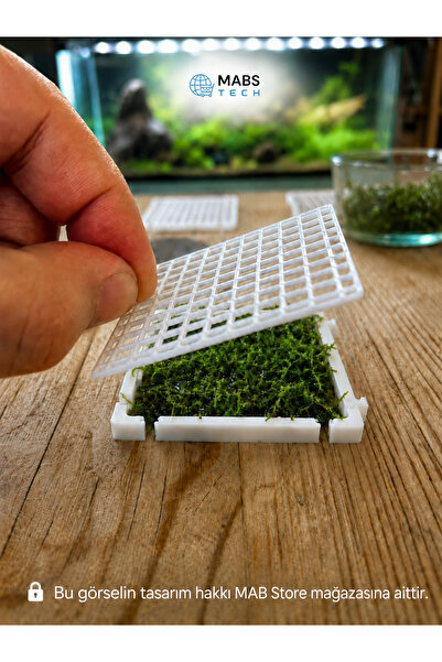 Mabs Tech Akvaryum Zemini Moss Halısı Kaplama Aparatı (1 adet) – Moss Teli Yerine Kullanılan 60x60 mm Modüler Moss Izgara Tepsisi