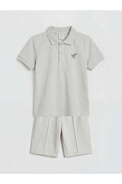 LC Waikiki Lcw Kids Gray Dinosaur Printed Boy's T-Shirt and Shorts