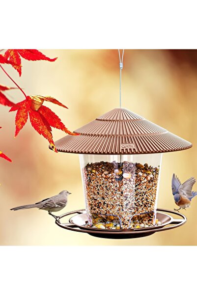 Choice Brown Bird Feeder Automatic Foot Feeding Tool Outdoor Bird Feeder Hang...