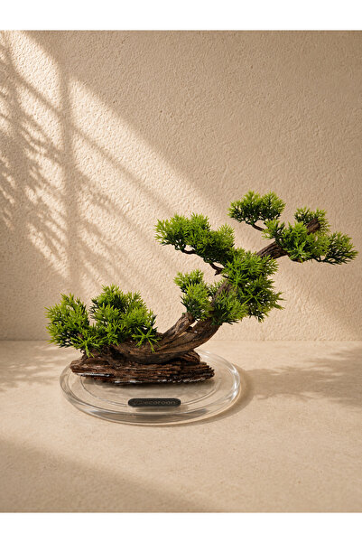 Decoroon El Yapımı Eğimli Bonsai Dekor – Epoksi Tabanlı Driftwood Ağaç (Yeşil...