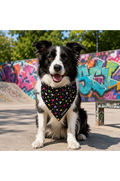 PATİMİO Delta Cat And Dog Collar Scarf Bandana
