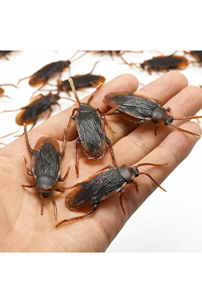 Choice 5Pcs Cockroach 5-50Pcs Special Lifelike Model Simulation Fake Cock Coc...