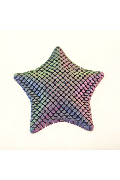Choice5 12cm MULTI Fidget Toy Flexible Desk Decor 3D Printed Articulated Star...