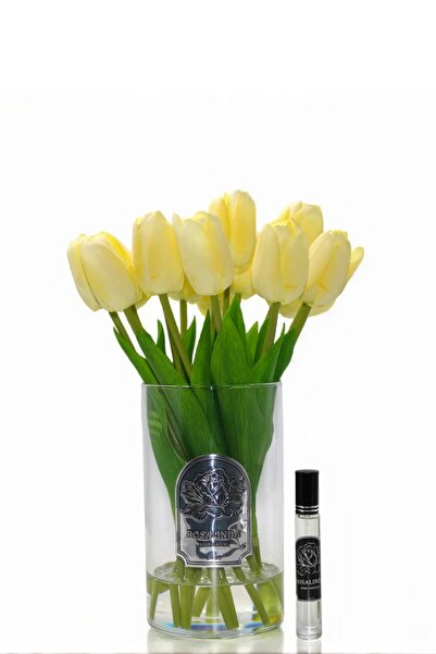 ROSALINDA SILVER UZUN CAM LALE KREM