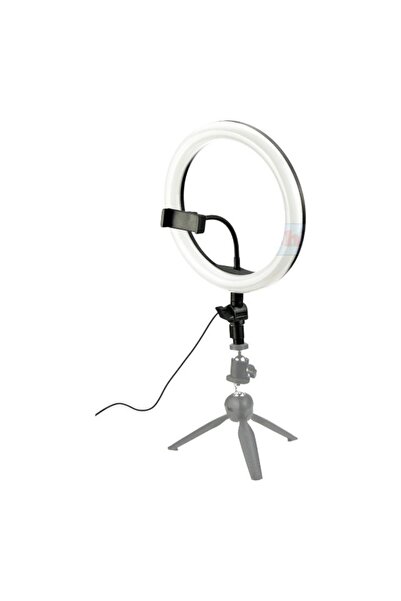 E-ANAMAG Κυκλικό φωτιστικό ZD666, διάμετρος δακτυλίου 26 εκ. (10 ίντσες), βάσ...