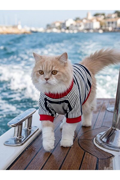 Kemique Yacht Club Marin Çizgili Kedi Tişörtü | Lacivert Kırmızı Yazlık Kedi ...
