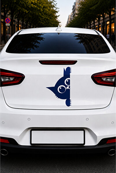 Organizasyon Pazarı Bakan Kedi Sticker Car Motorcycle Bicycle Notebook Phone