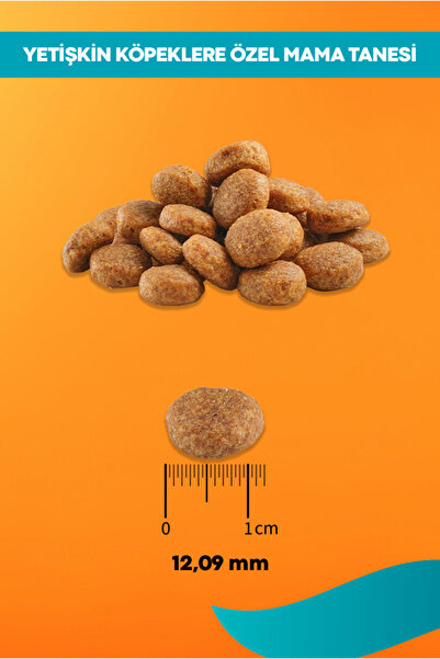 PERİTAS Midos Aktif & Avcı Yetişkin Kuzu Etli Köpek Maması 15 Kg