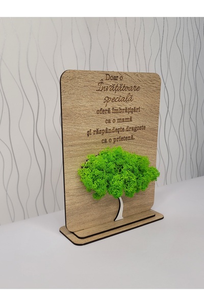 LiidDesign Ornament cu licheni- Cadou pentru Invatatoare