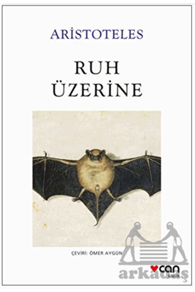 CAN Ruh Üzerine