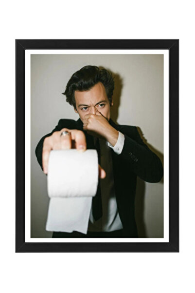 Boomah Accessories Harry Styles Funny Bathroom Framed Poster 30x40 cm – Toile...