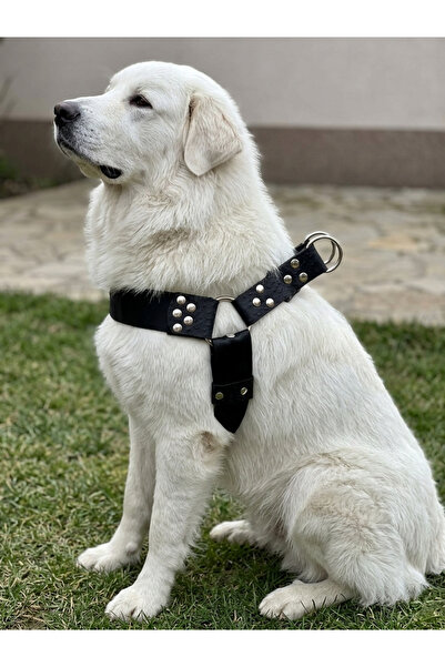 balkonda Dog Chest Harness Large & Giant Breed Adjustable 5 cm Width Safety H...