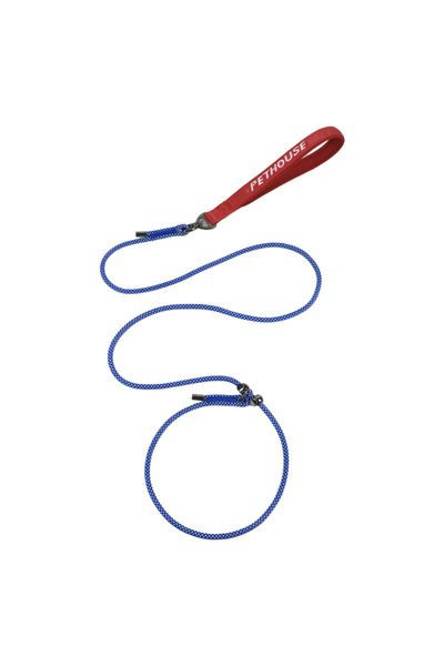 Choice1 Blue Slip Lead Dog Leash for Puppy Small Dogs Training and Walking Ny...