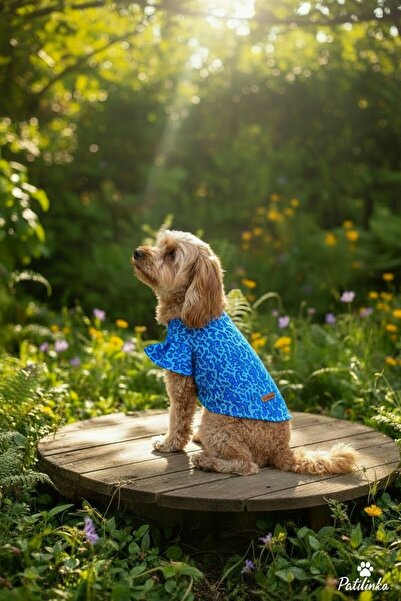 PATİLİNKA Cat-Dog 100% Cotton Viscose Summer Shirt - Undershirt - Dress - Clo...