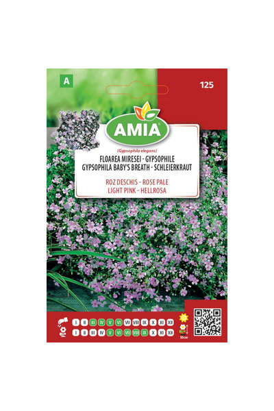 Amia Seminte de flori Floarea Miresei roz deschis 1 gr