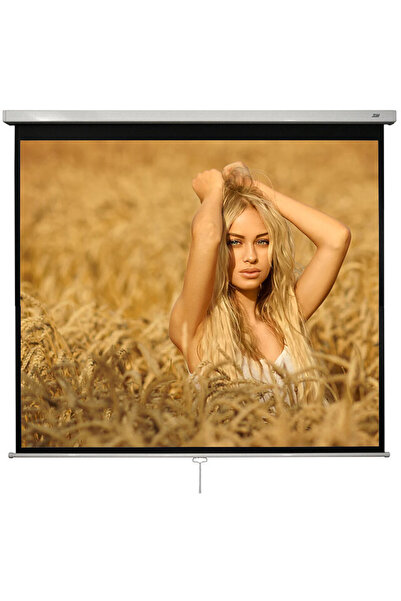 blackmount Manual projection screen, wall/ceiling, 240 x 240 cm, Blackmount, ...