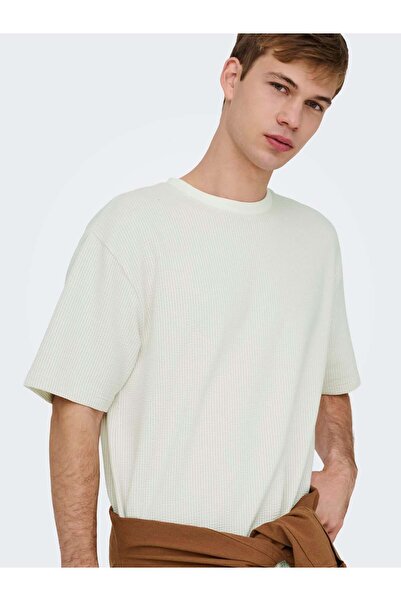 Only & Sons ONSKIAN LIFE RLX SS STRP TEE Egret