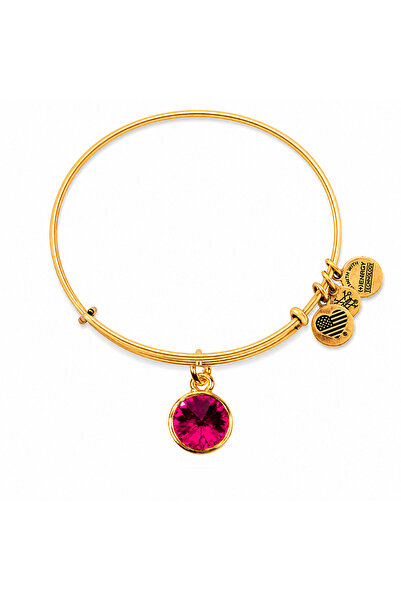 Alex and Ani Bratara Metal A12EB241RG